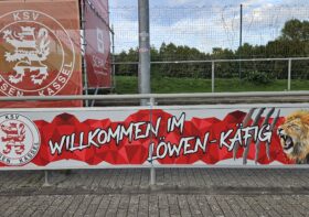 Zahnlos im Löwenkäfig